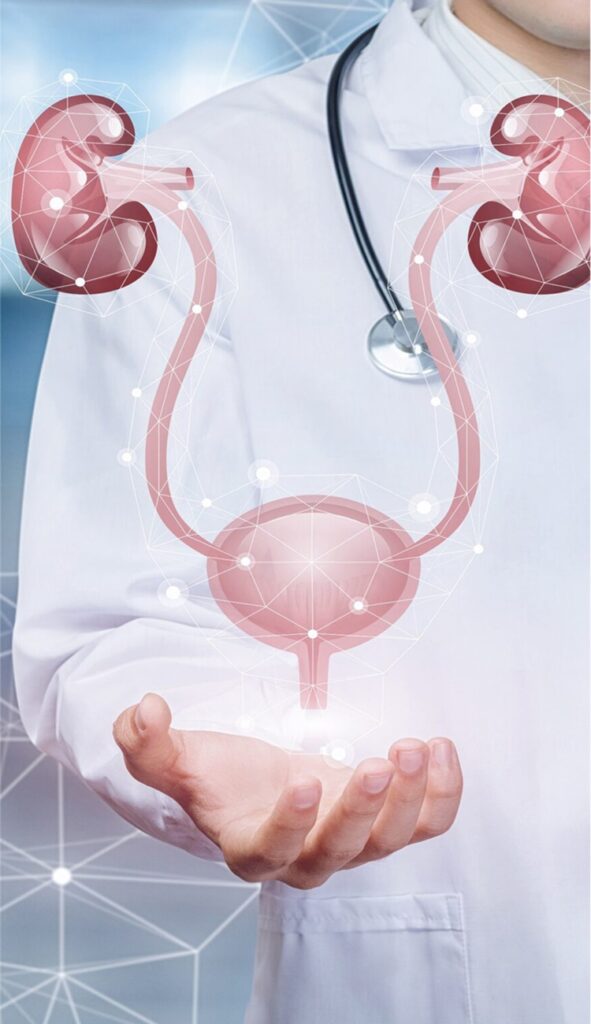 urology