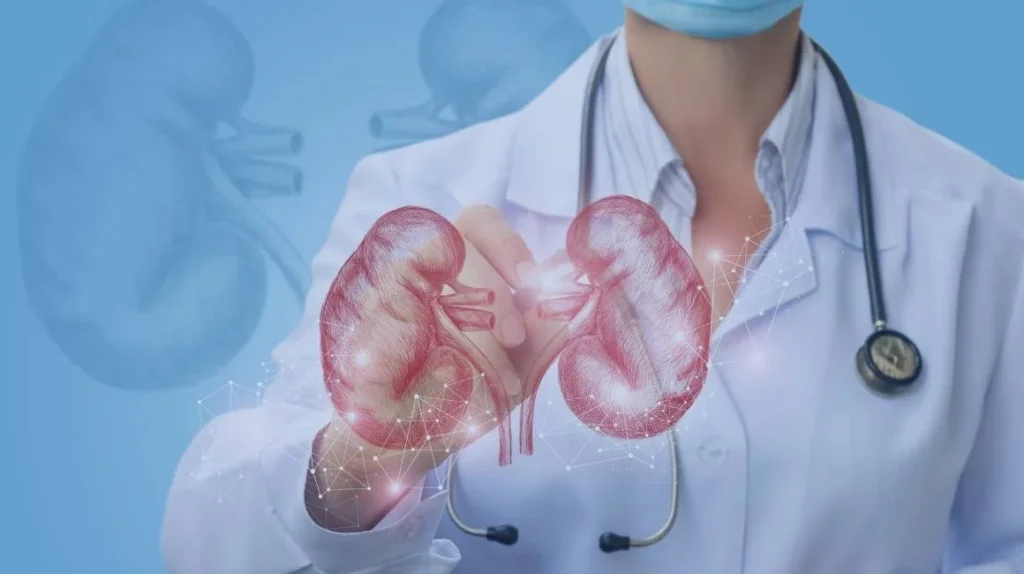nephrology